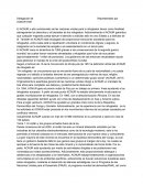 Delegación de Representado por ACNUR OIM