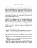 Localidad antonio nariño Bogota