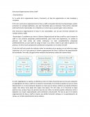 Estructura Organizacional Línea y Staff