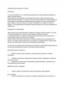 Mujeres por un nuevo futuro