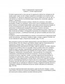 Comportamiento organizacional . Capítulo 13: Diseño organizacional