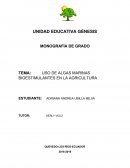 USO DE ALGAS MARINAS BIOESTIMULANTES EN LA AGRICULTURA