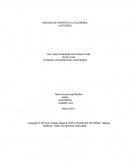 ANALISIS DE APORTES A LA ECONOMIA ( AUTORES)