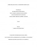 TEORÍA ORGANIZACIONAL Y HABILIDADES GERENCIALES