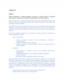 Análisis sistemas JIT