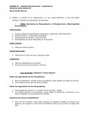 Análisis Organizacional - Cuestionario