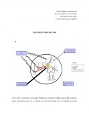 TALLER ESTUDIO DE CASO Ciclo vital