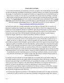 Ensayo sobre entropia