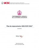Plan de mejoramiento: Molycop Chile