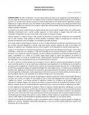 Apuntes derecho constitucional