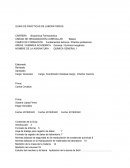 GUÍAS DE PRÁCTICAS DE LABORATORIOS