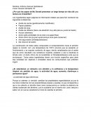 ¿Por qué las papas de McDonalds presentan un largo tiempo de vida útil y su textura es irresistible?