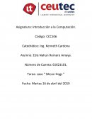 Tarea: caso “ Silicon Hogs ”