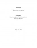Lineamientos para el Plan de Comunicación