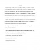 Ensayo segmentación de clientes