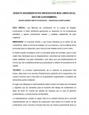 ENSAYO ARGUMENTATIVO PRODUCCION MAS LIMPIA EN EL SECTOR CURTIEMBRES