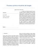 Proceso químico industrial del biogás