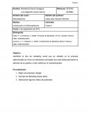 Introducción a la Mercadotecnia Google