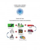 Estudio de Caso Funcionamiento de la Cadena de Suministros
