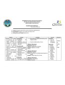 Planificación para Estimulación Oportuna