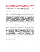 CASO SELECCIONADO: ESTUDIO DE CASO No. 2 TRAUMA CRANEOENCEFÁLICO POR CAÍDA DE OBJETOS