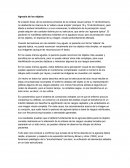 Agnosia de los objetos