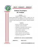 Analisis bibliografico sobre la causa y efecto sobre los socavones