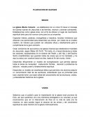 Plantación de iglesias