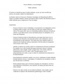 Nuevos Medios y sus tecnologías