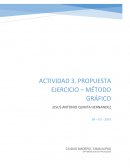 Metodo grafico Armadora de computadoras