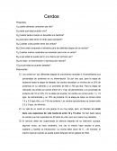 Cerdos Preguntas