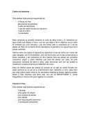 Práctica. Cultivo de bacterias