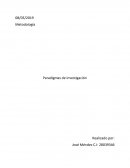 Paradigmas de investigacion