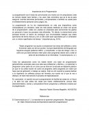 Importancia de la programación