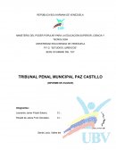 TRIBUNAL PENAL MUNICIPAL PAZ CASTILLO (INFORME DE AVANCE)