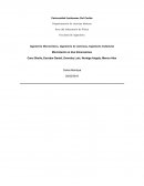 INFORME DE MOVIMIENTO DE DOS DIMENSIONES