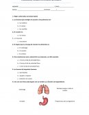 EVALUACIÓN FORMATIVA CIENCIAS NATURALES