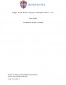 ANATOMÍA “Los huesos de la cara y el cráneo”