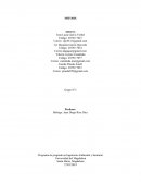 Programa de pregrado en Ingeniería Ambiental y Sanitaria