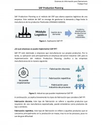 SAP Production Planning es el módulo del ERP. Página 1