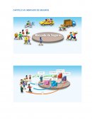 CAPITULO VII: MERCADO DE SEGUROS