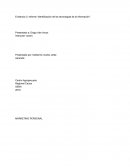 Evidencia 3: Informe “Identificación de las tecnologías de la información”