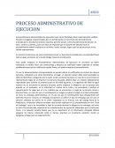 PROCESO ADMINISTRATIVO DE EJECUCION