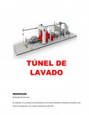 TÚNEL DE LAVADO DESCRIPCIÓN