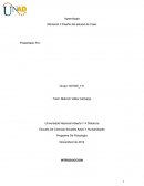 Importancia de las redes de conocimiento