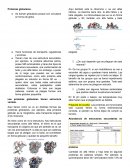 Bioquimica clase Proteínas globulares