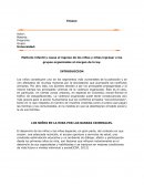 Maltrato infantil y causa el ingreso de los niños y niñas ingresar a los grupos organizados al margen de la ley