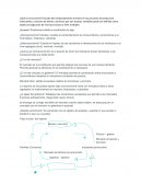 Microeconomía introducción