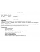 PROYECTO AULICO N°1 Nombre del proyecto: “El oso viajero”