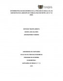 Determinantes economicos de la frecuencia sexual en el municipio de turbaco